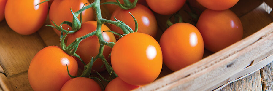 Orange cocktail tomatoes in a wood box.