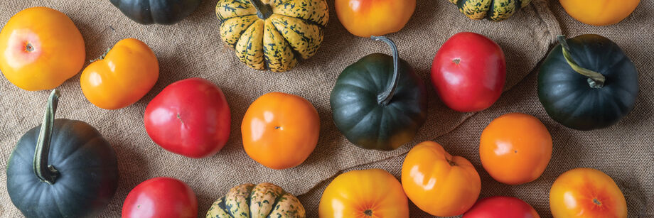 The fruit of Johnny's-bred seed varieties laid out on a table. Includes tomatoes and winter squash fruits.