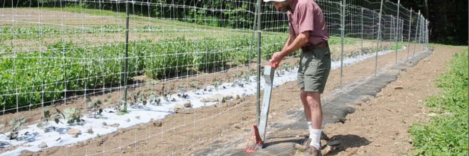 Person standing upright and using the jab planter to seed in the field.