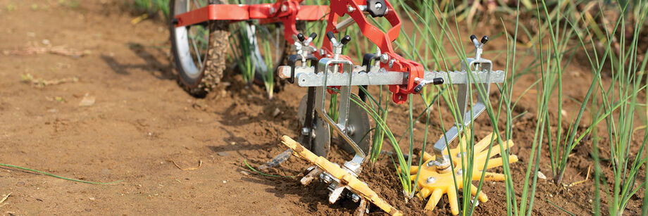 A terrateck double wheel hoe with finger weeders is being used to cultivate both sides of a row of onions.