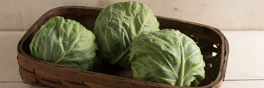 Three green cabbage heads in a basket.