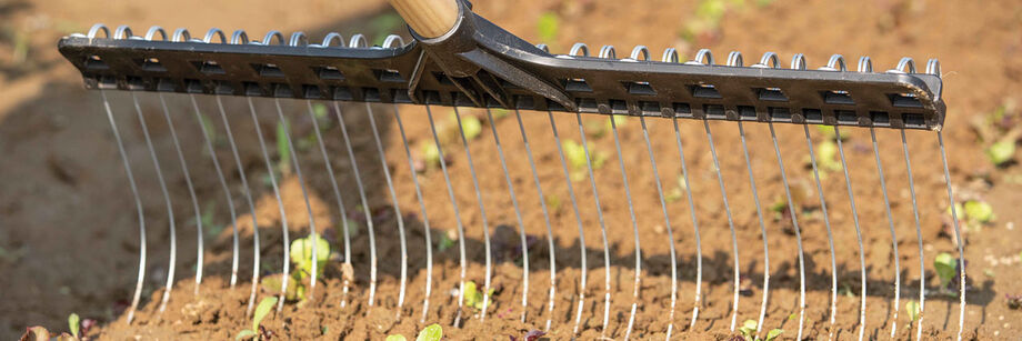 A tine weeder in action.
