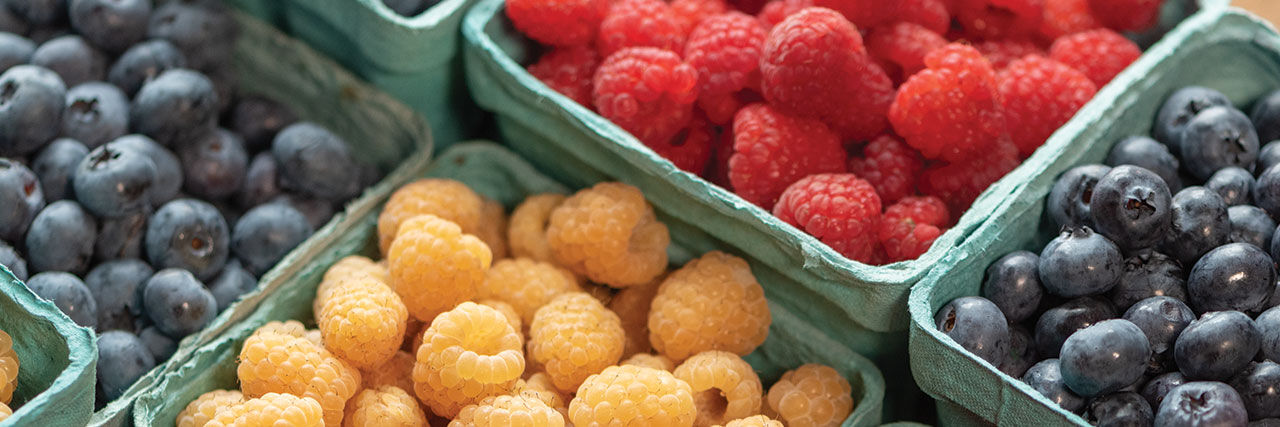 Fruit Plant Collections | Johnny's Selected Seeds