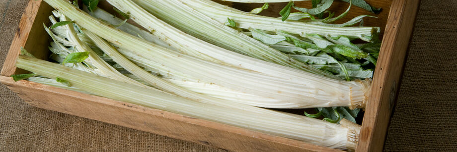 Cardoon stems in a wooden box.