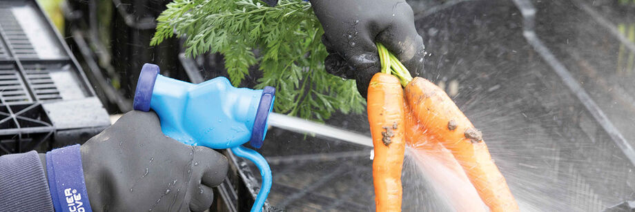 Person wearing our cold weather wash station gloves and spraying down carrots using our wash down gun.