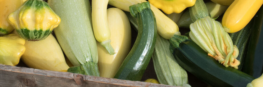 A mix of summer squash colors and shapes, all grown from Johnny's summer squash seeds.