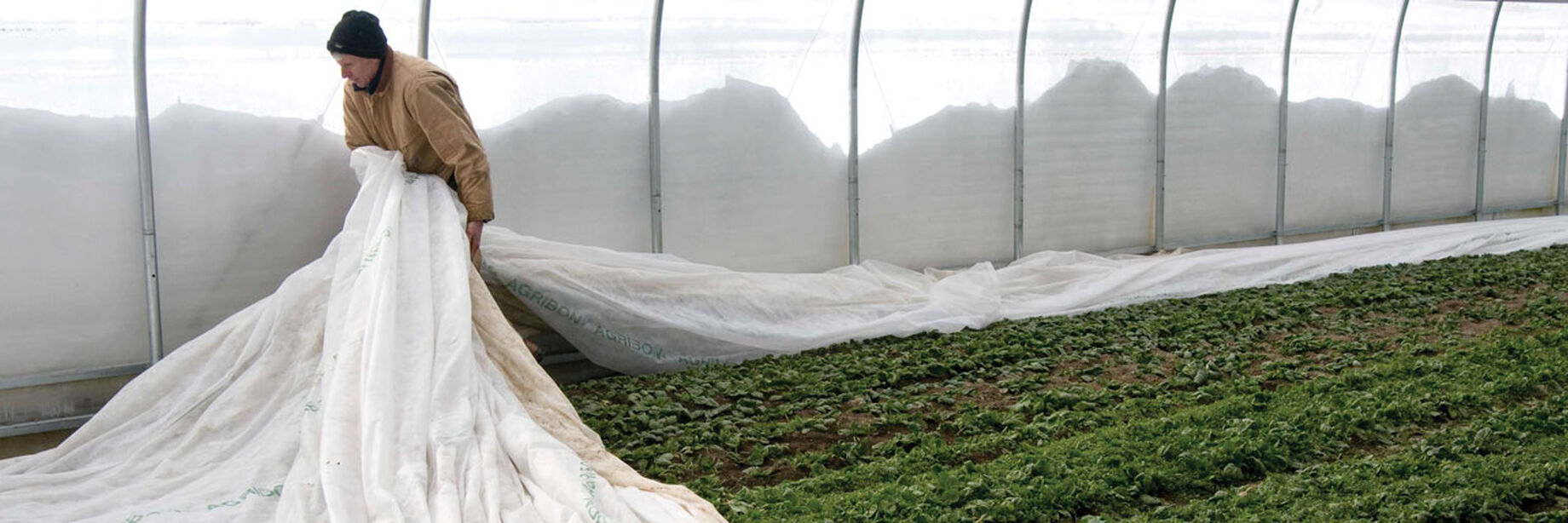Winter Service Protection For Roots Row Covers for Frost Protection | Johnny's Selected Seeds