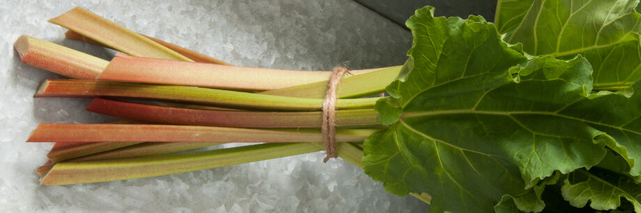A bunch of rhubarb tied with a string.