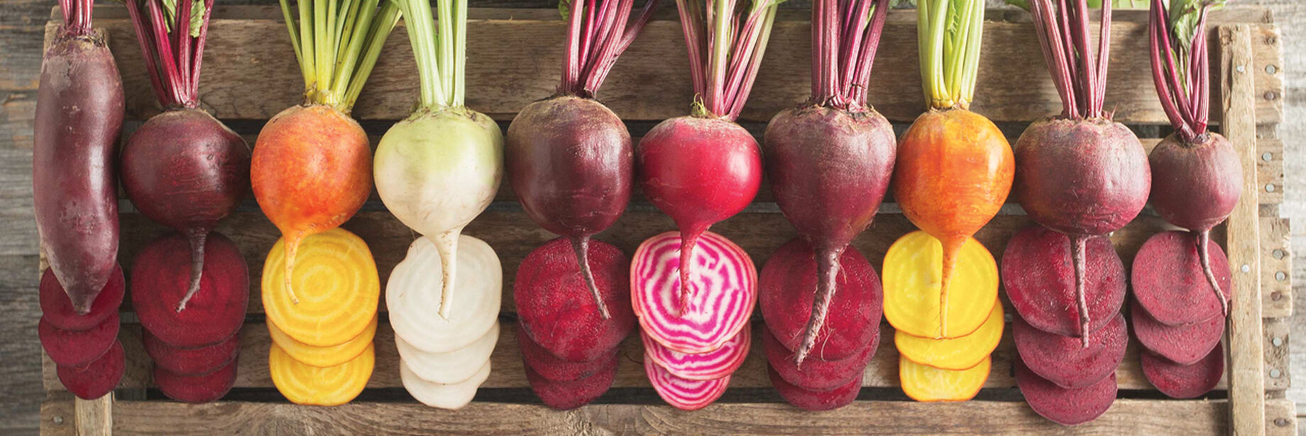 Beet Seeds Organic & Heirloom Varieties Johnny's Selected Seeds