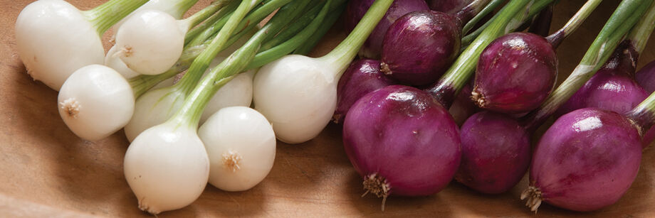 White and red mini-onions laid out on a cutting board.