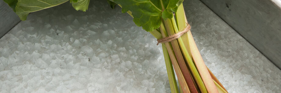 A bunch of rhubarb tied with a string and displayed in a metal box.