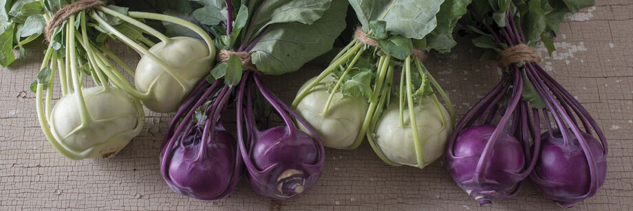 Four bunches of kohlrabi from Johnny's white and purple kohlrabi varieties.