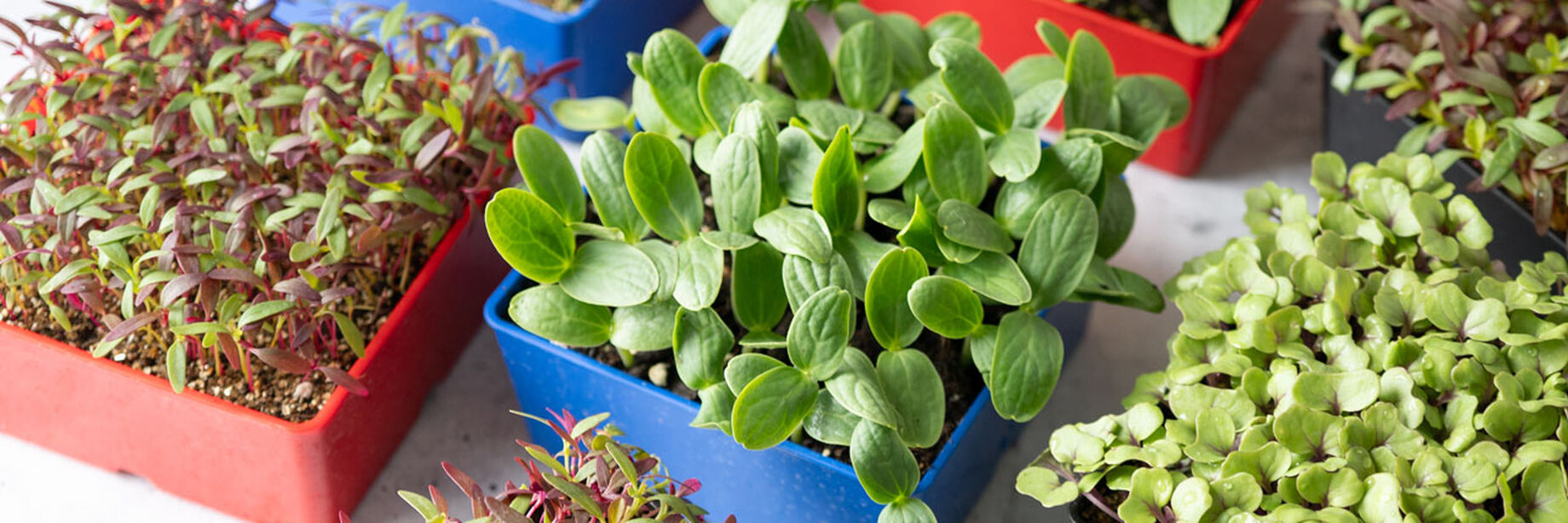 Dynamic New Coloring Books Moment for Your Screen