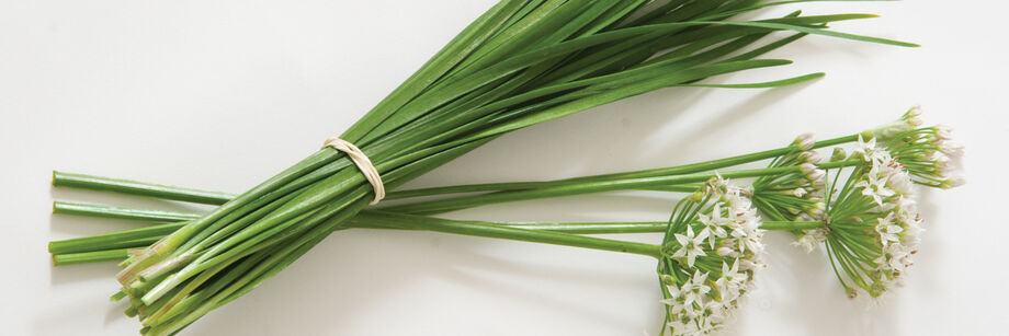 A bunch of garlic chives laid next to several white blossoms.