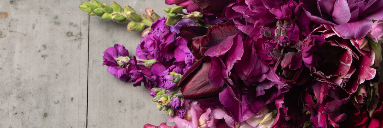 Purple Flower Varieties | Johnny's Selected Seeds
