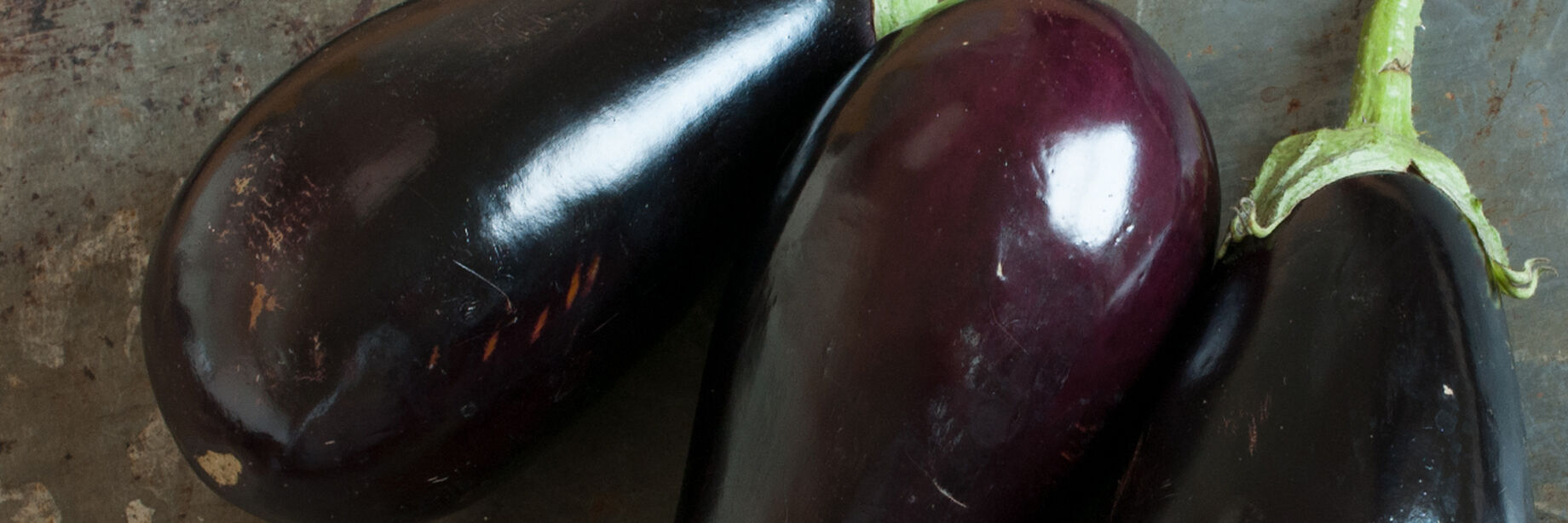 Italian Eggplant Seeds Organic Varieties Johnny's Selected Seeds