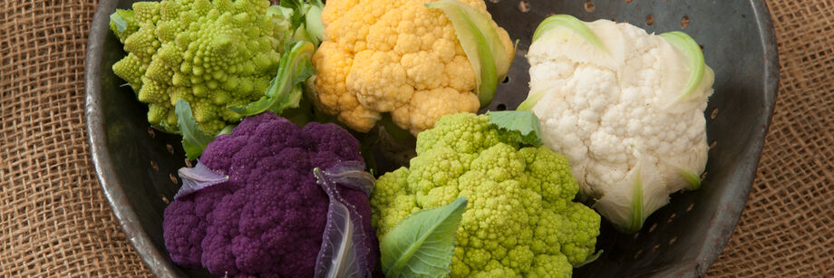 Cauliflower heads from five of Johnny's cauliflower varieties: green Romanesco, orange, white, purple, and green.