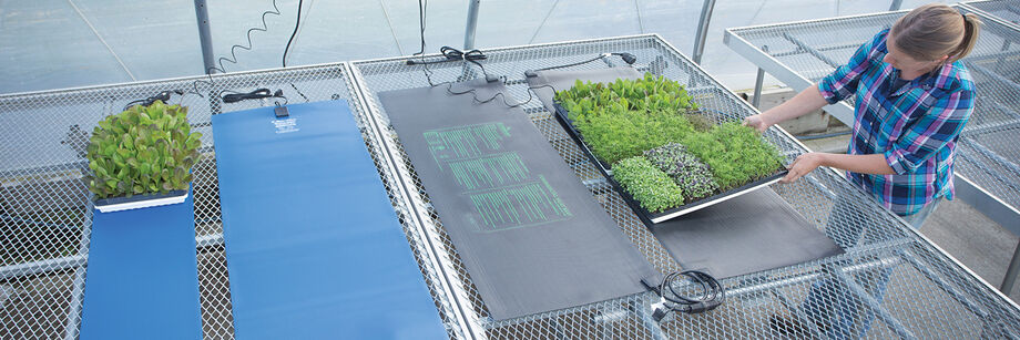 An overhead view of several heat mats laid out on greenhouse tables.