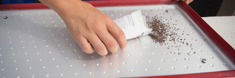 Person pouring seed onto a vacuum seeder.