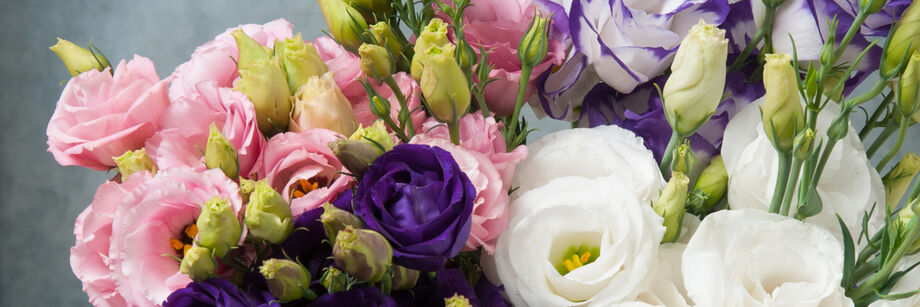 Bouquet of pink, purple, and white rose-like blooms grown from our lisianthus varieties.