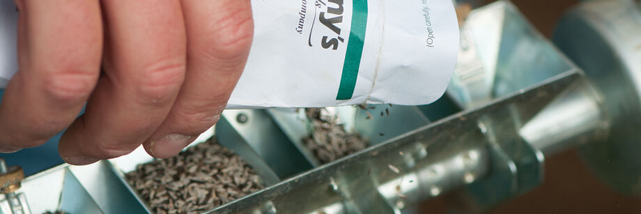 Close up of someone pouring seed into a seeder.