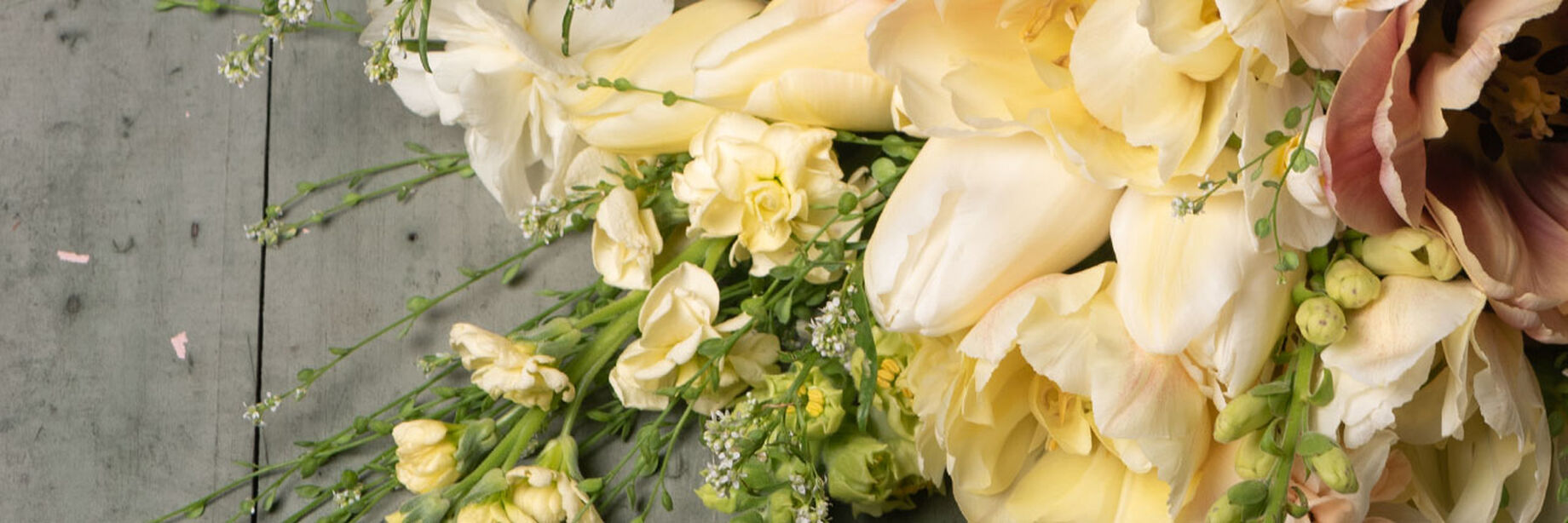 CREAM FLOWER main image 0