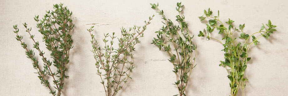 Sprigs of thyme from four of our thyme varieties.