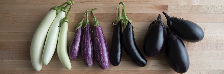 The fruits of 4 different mini-eggplant varieties laid out on a table. The colors are white, variegated, and deep purple.
