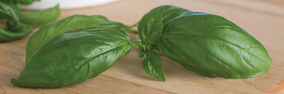 Sprigs of genovese basil on a cutting board.
