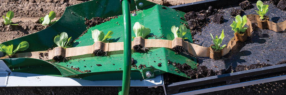 Person using the Paperpot Transplanter to transplant lettuce seedlings.