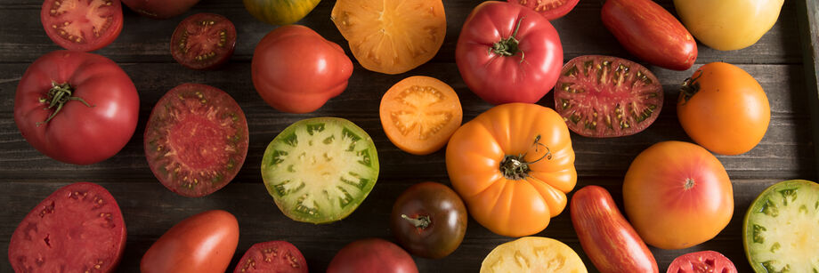The fruits of a large assortment of heirloom tomato varieties, some cut open to reveal the internal colors.