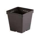 Maxi Square Plastic Pots – 540 Count Maxi Square Plastic Pots – 540 Count Plastic Pots