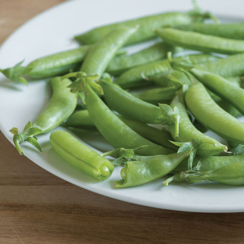 Sugar Ann Snap Peas