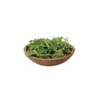 Runaway Arugula (Roquette)