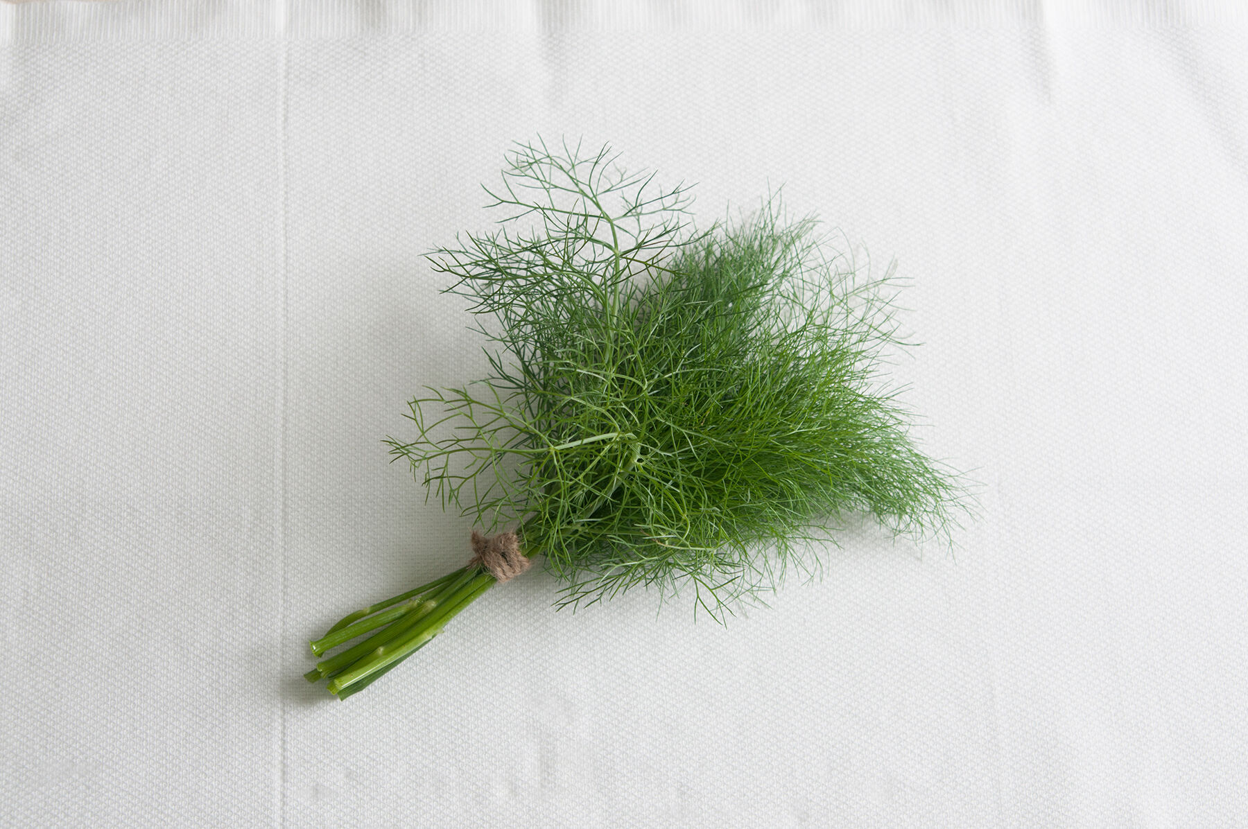 Grosfruchtiger Herbs for Salad Mix