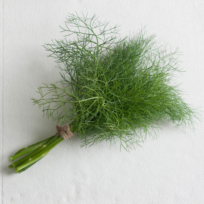 Grosfruchtiger Herbs for Salad Mix