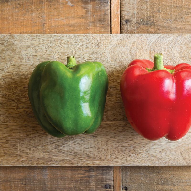 Bell Pepper FAQs & Facts