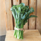 Sweet Stem Mini Broccoli