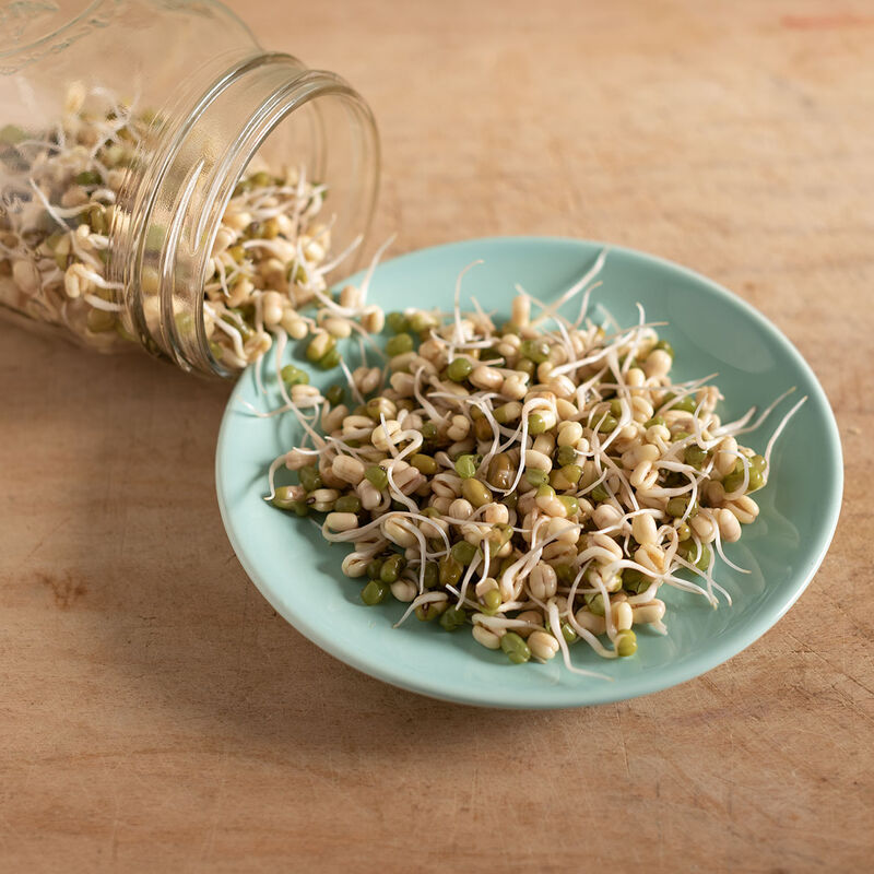 Bean, Mung Sprouts