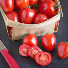 Tomatoberry Garden Tomatoberry Garden Cherry Tomatoes