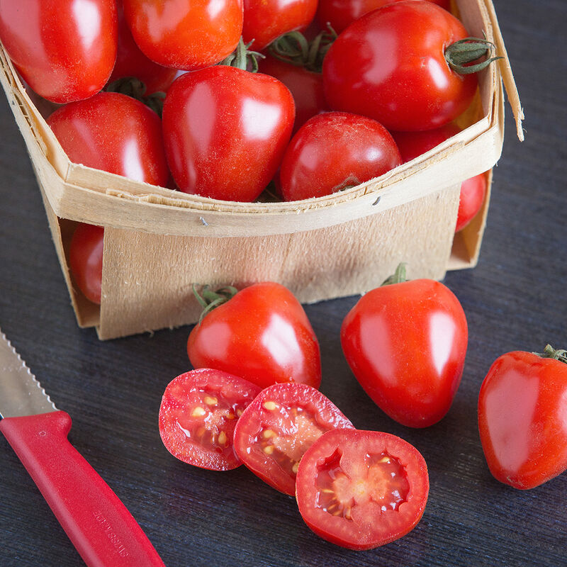 Tomatoberry Garden Tomatoberry Garden Cherry Tomatoes