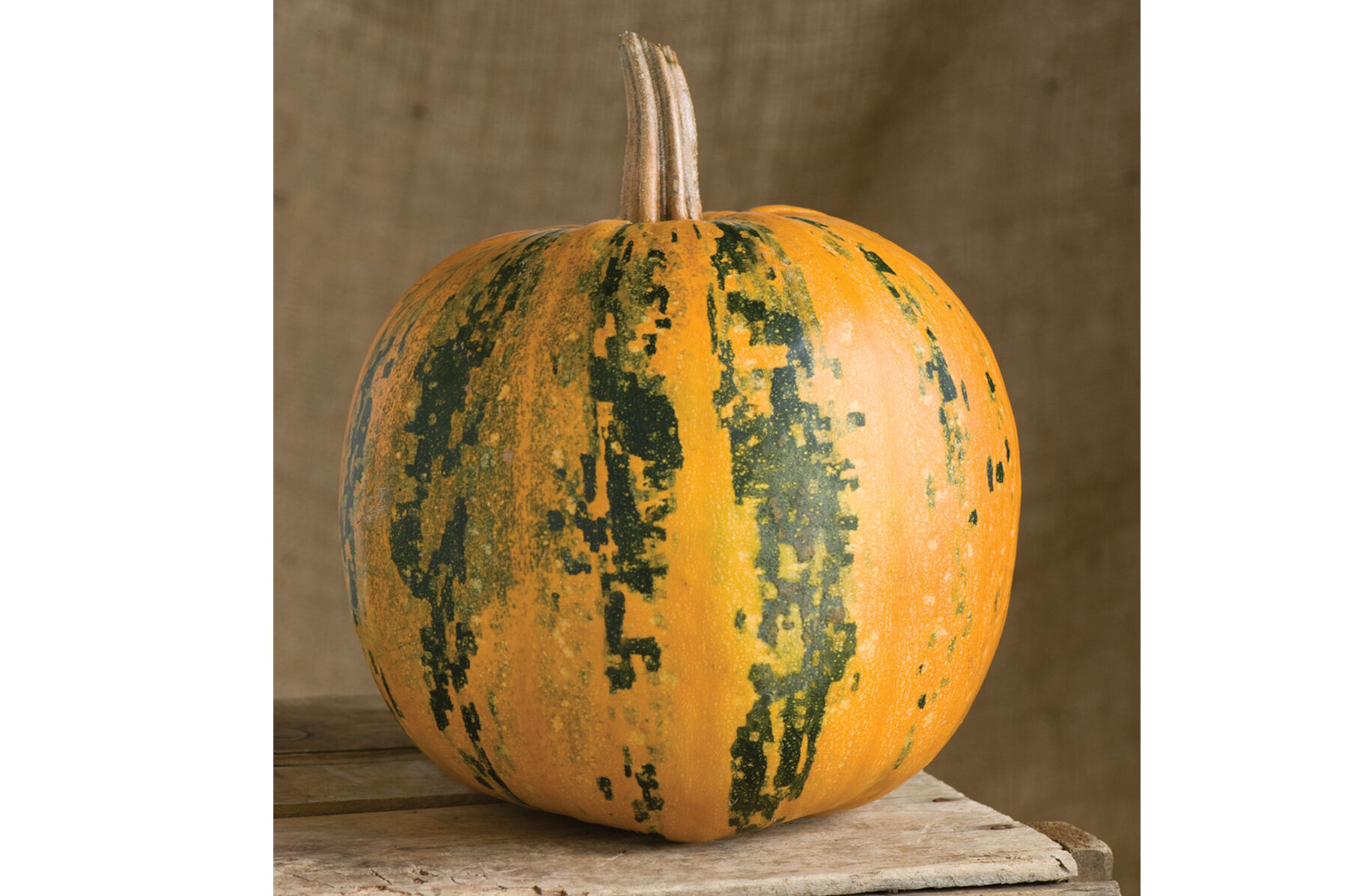 Kakai Specialty Pumpkins