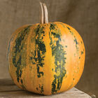 Kakai Kakai Specialty Pumpkins
