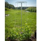 Bean Tower – 60" Cages & Fences