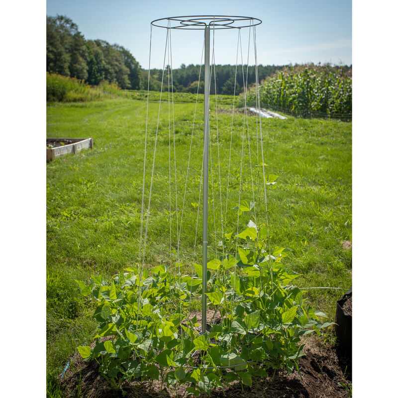 Bean Tower – 60" Cages & Fences