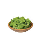 Green Wave Mustard Greens