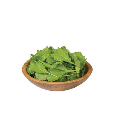 Green Wave Mustard Greens