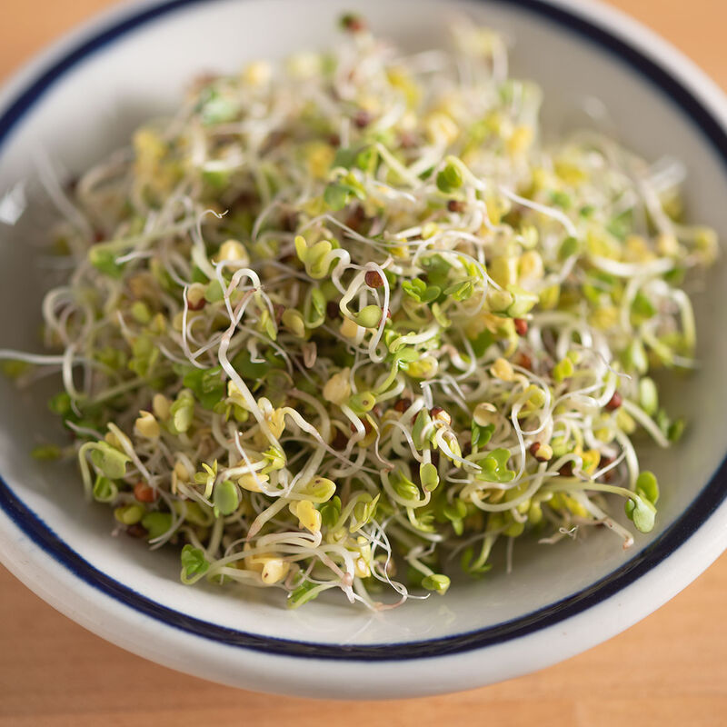 Broccoli Sprouts