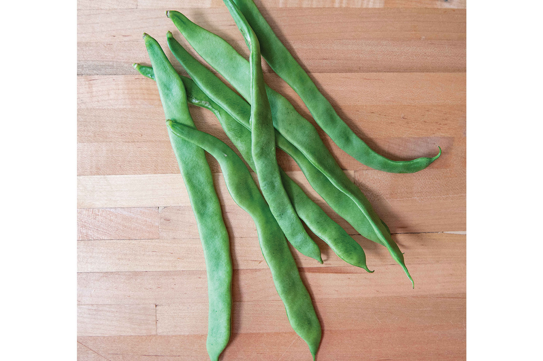 ★　Beans　★ Northeaster - Organic Pole Bean Seeds | Johnny's Selected Seeds