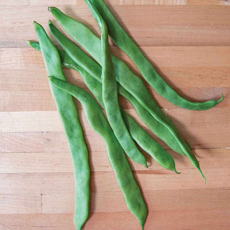 Helda Pole Beans